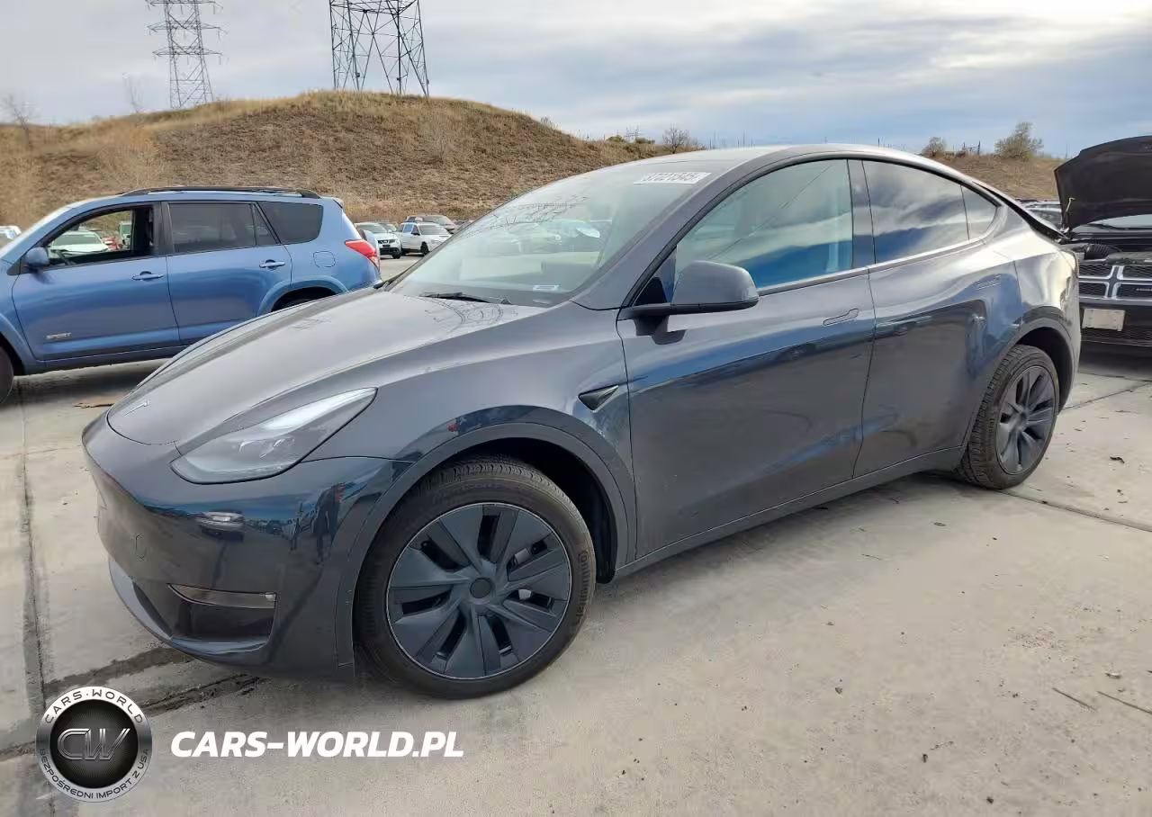 2024 Tesla Model Y