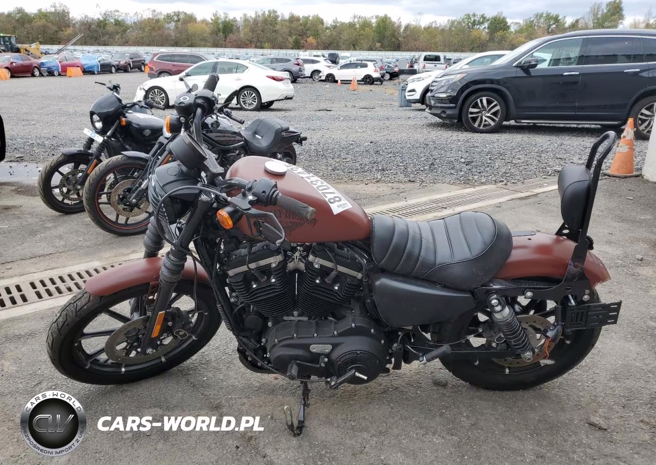 2017 Harley-Davidson Xl883 Iron 883 VIN:1HD4LE217HC430998 - 3