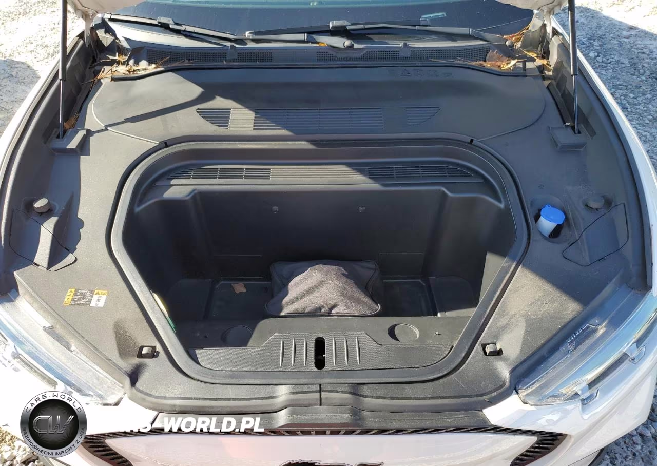 2021 Ford Mustang Mach-E Select VIN:3FMTK1SS1MMA19067 - 12