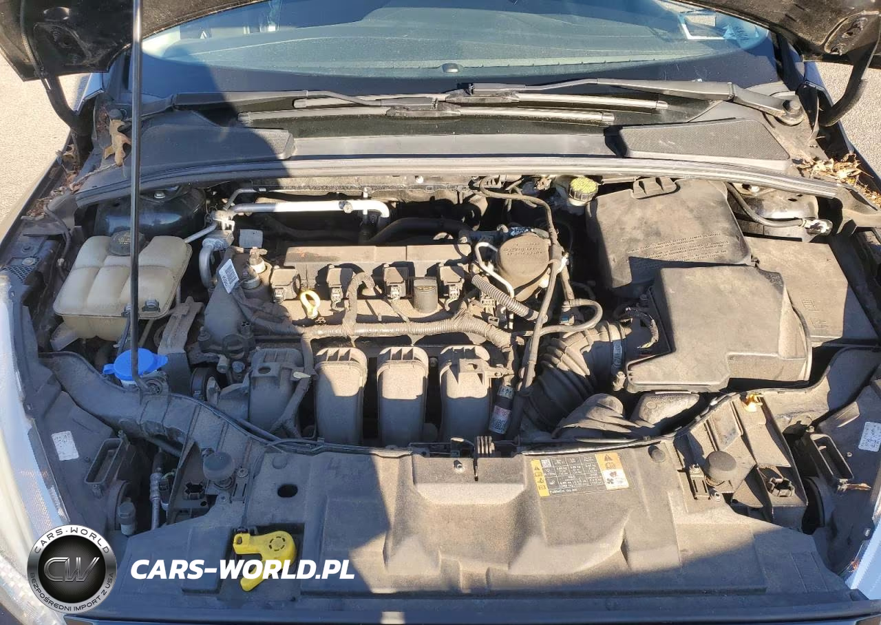2016 Ford Focus Se VIN:1FADP3F28GL240371 - 11