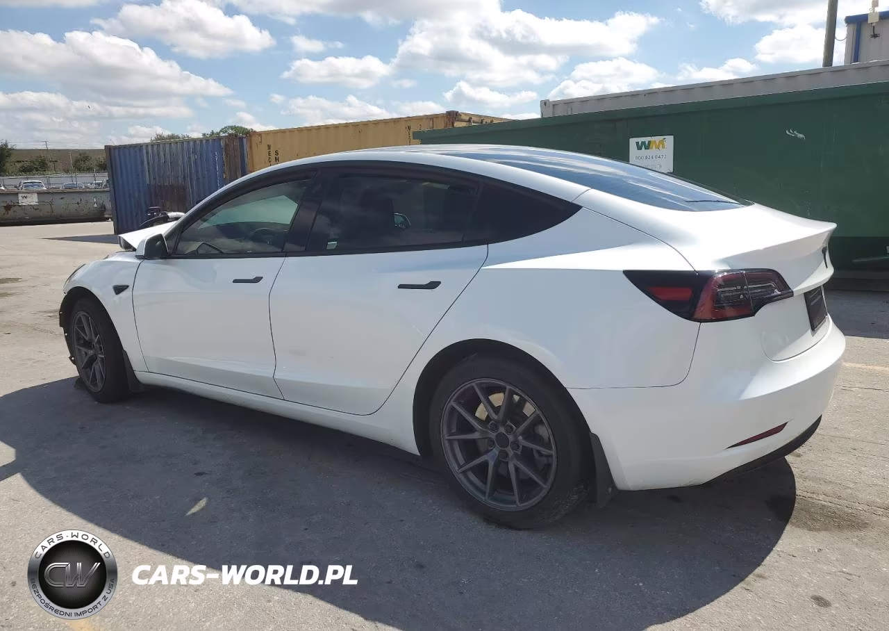 2023 Tesla Model 3 VIN:5YJ3E1EAXPF563560 - 2