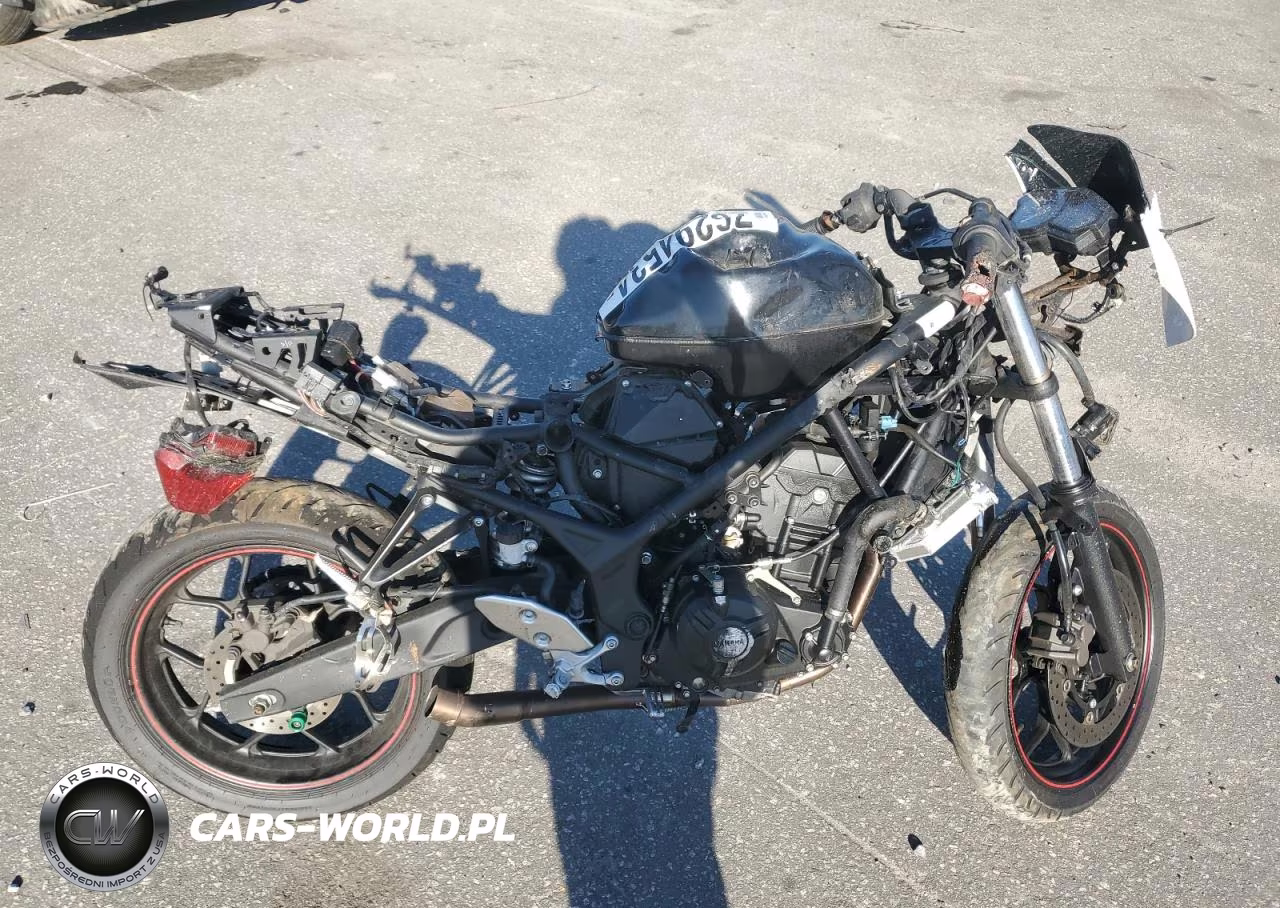 2016 Yamaha Yzfr3