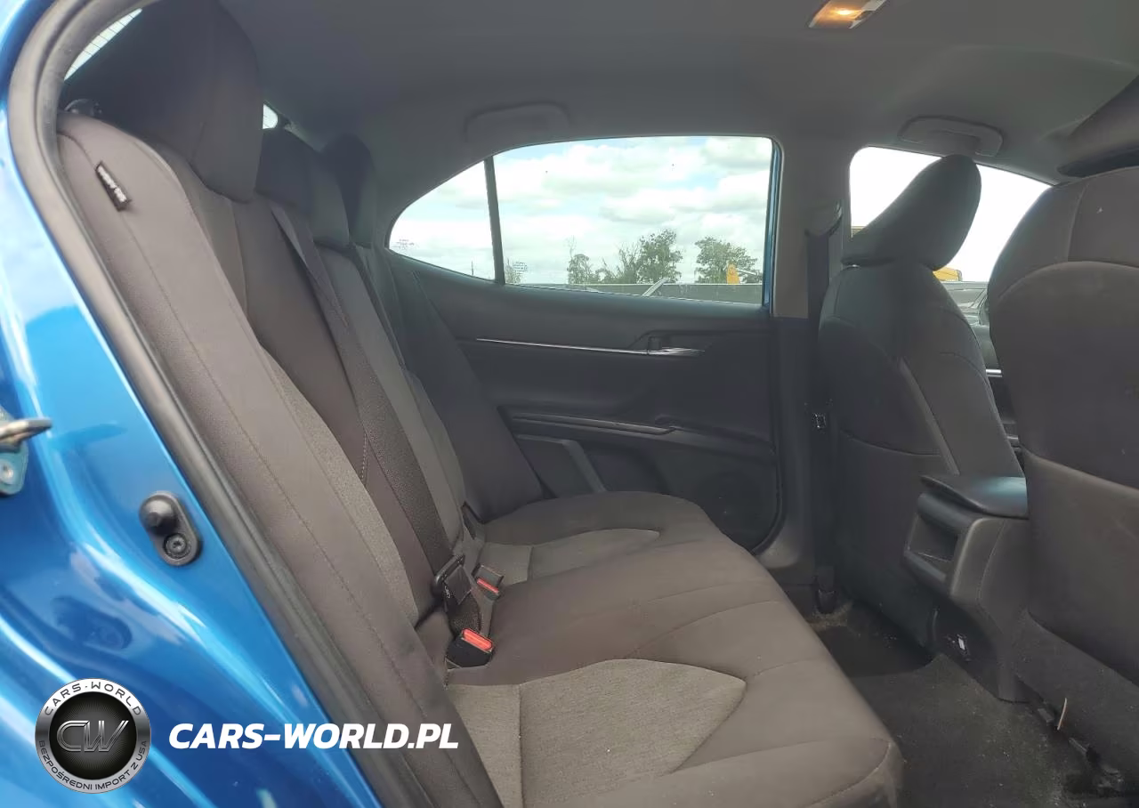 2020 Toyota Camry Le VIN:4T1C11AK0LU317723 - 10