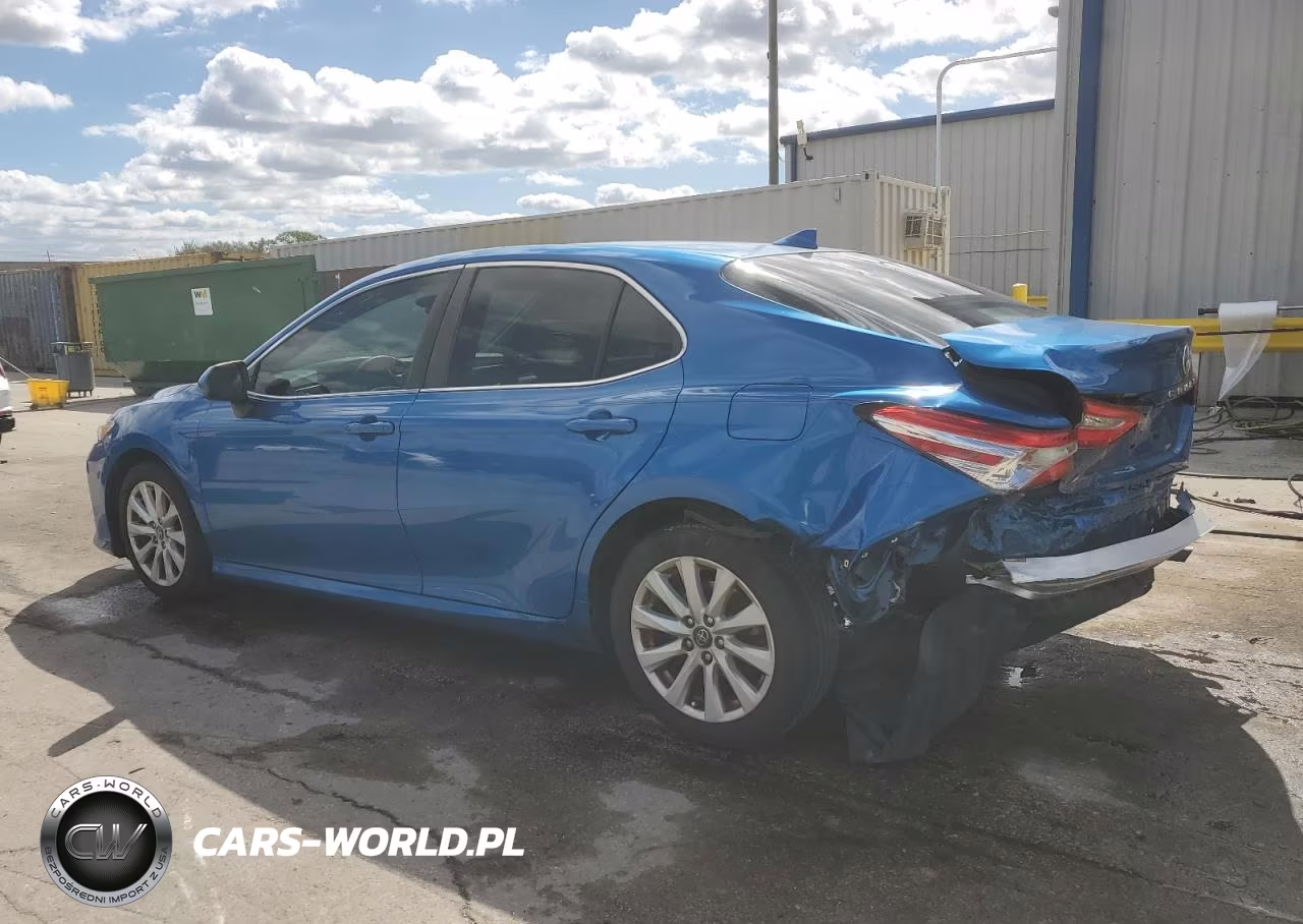 2020 Toyota Camry Le VIN:4T1C11AK0LU317723 - 2