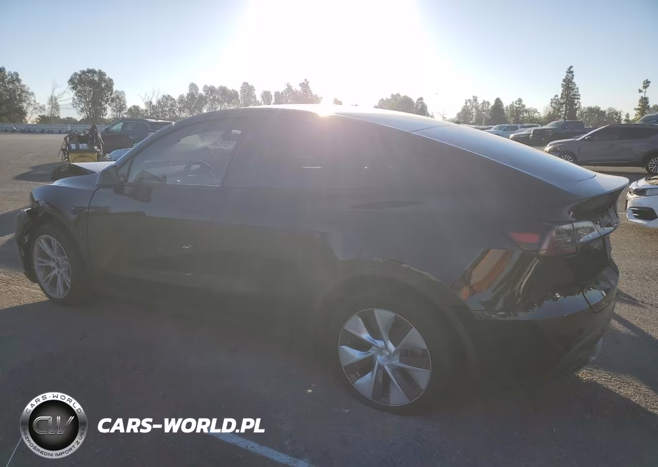 2023 Tesla Model Y VIN:7SAYGAEE3PF833606 - 2