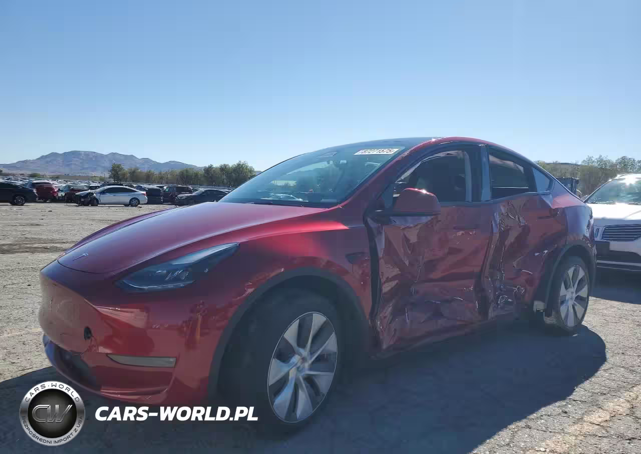 2024 Tesla Model Y