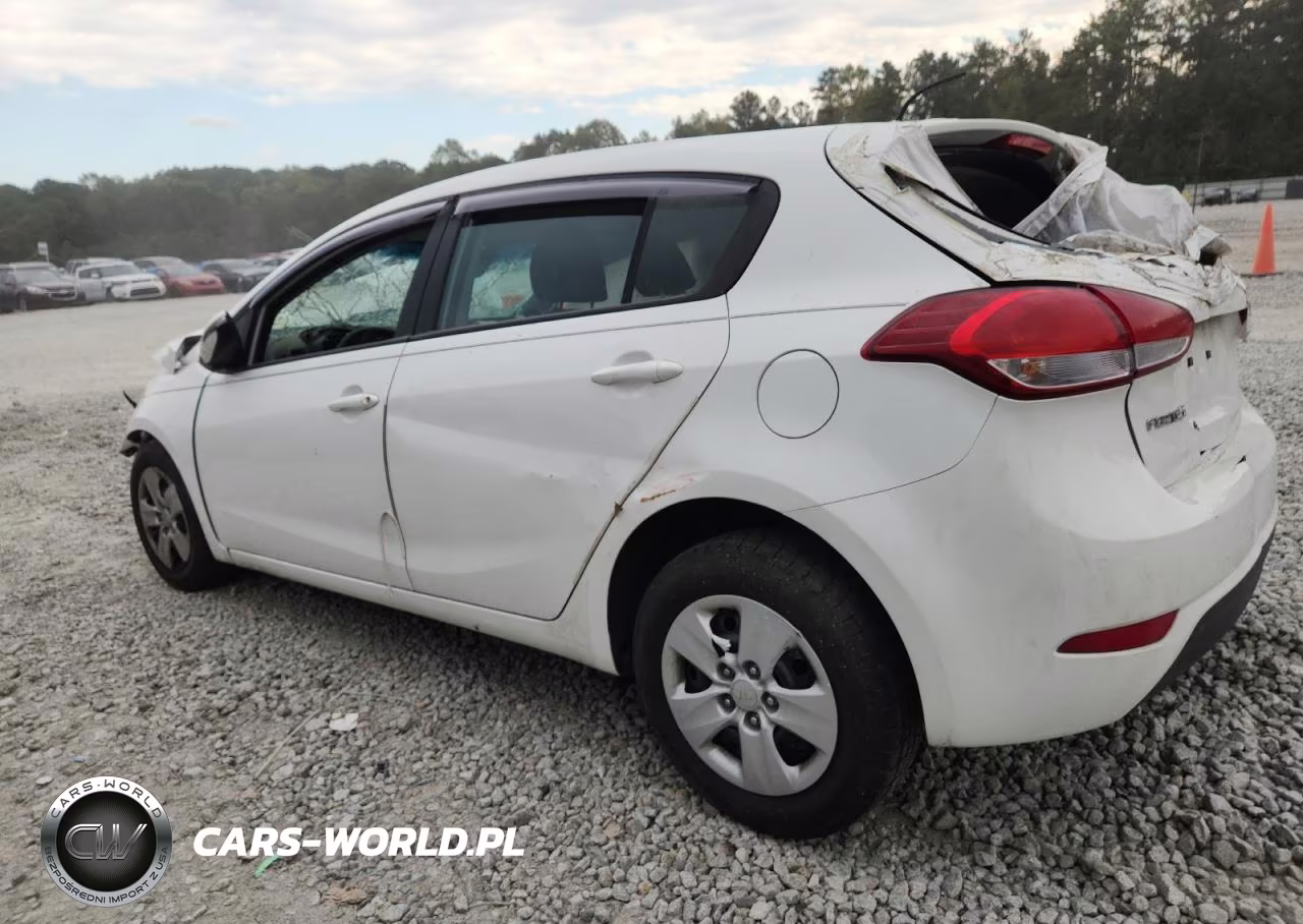 2017 Kia Forte Lx VIN:KNAFK5A89H5678179 - 2