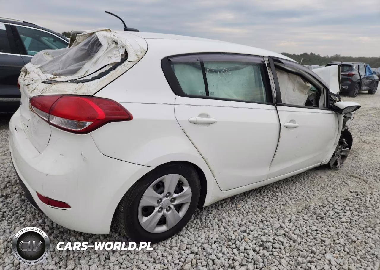 2017 Kia Forte Lx VIN:KNAFK5A89H5678179 - 3