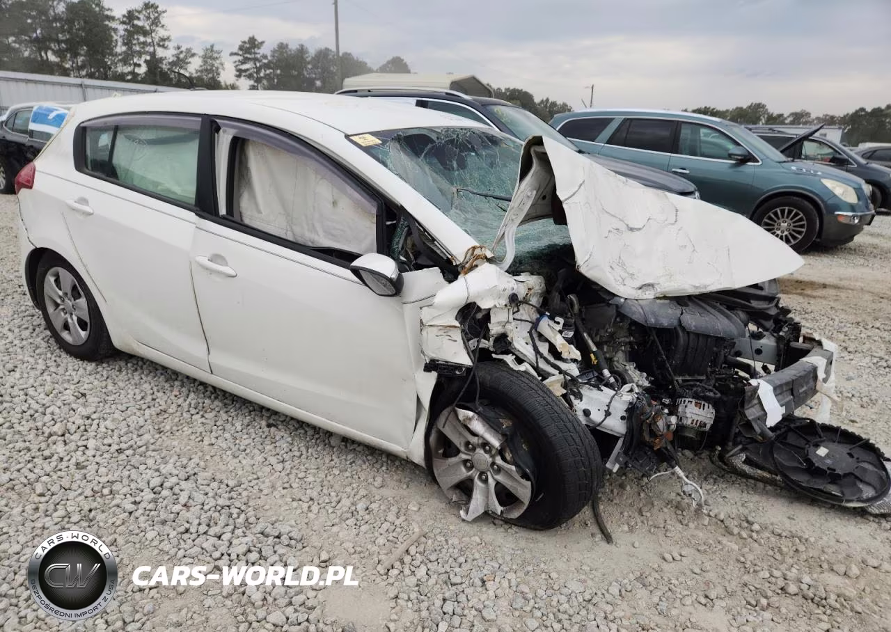 2017 Kia Forte Lx VIN:KNAFK5A89H5678179 - 4