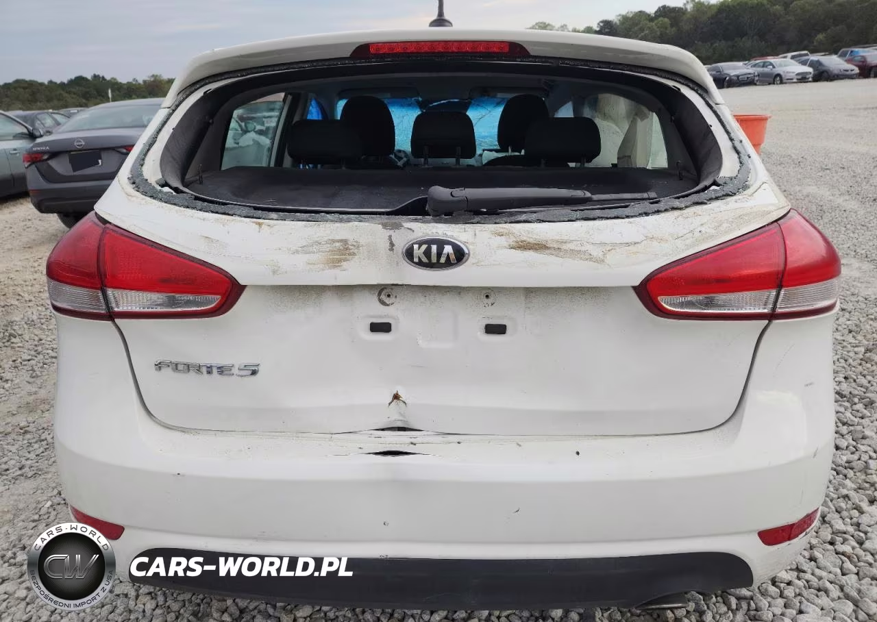 2017 Kia Forte Lx VIN:KNAFK5A89H5678179 - 6