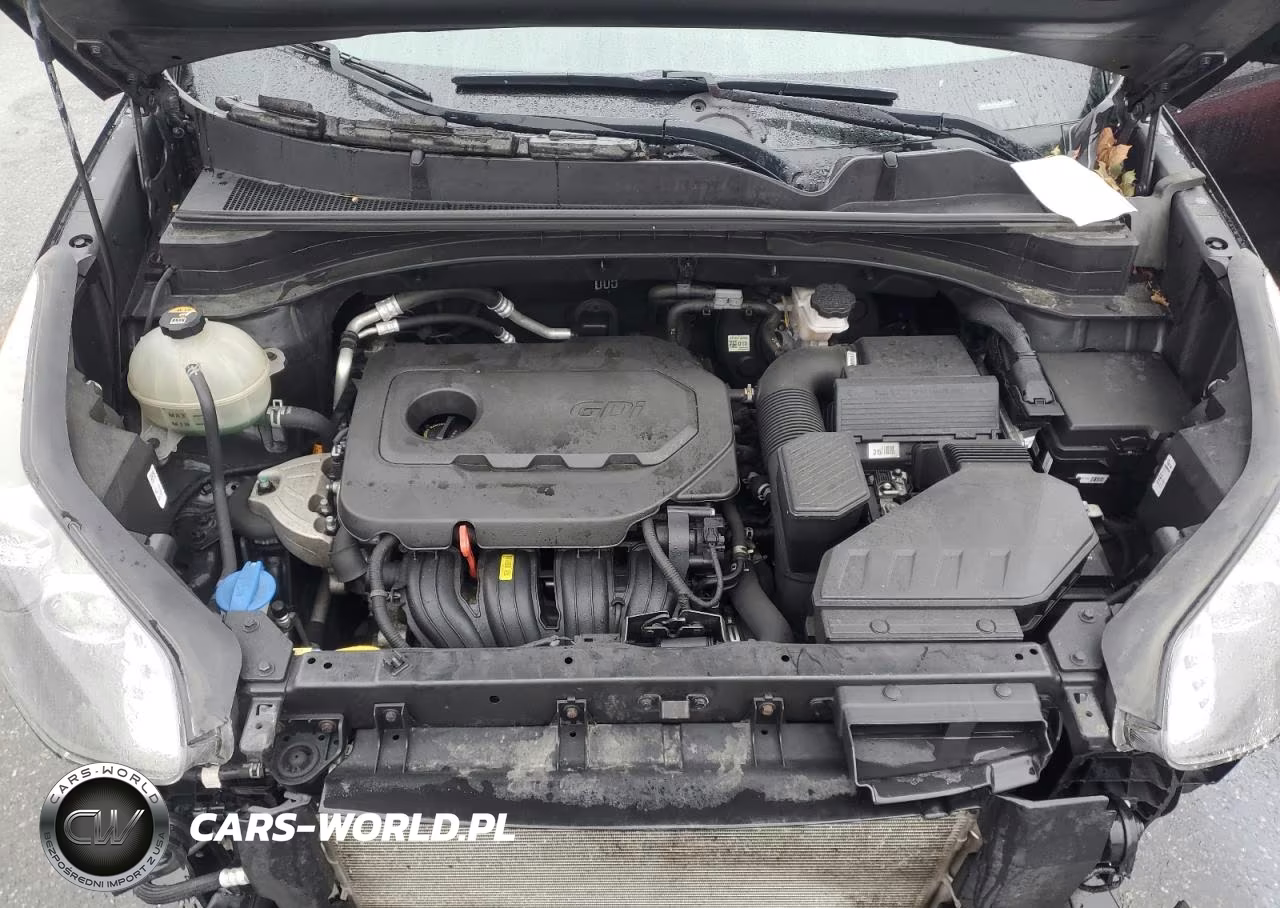 2020 Kia Sportage Lx VIN:KNDPMCAC9L7816083 - 12