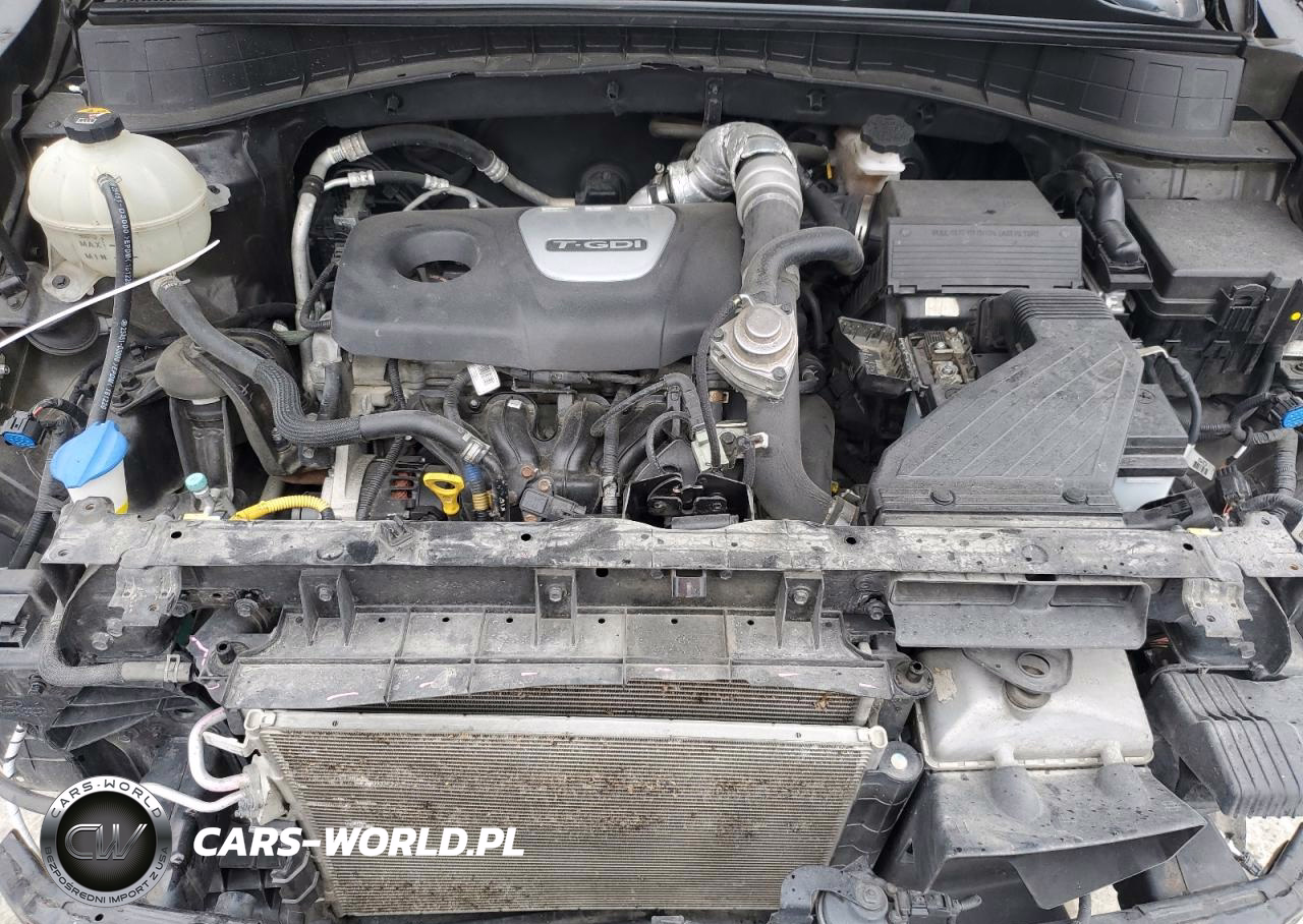 2017 Hyundai Tucson Limited VIN:KM8J3CA2XHU401732 - 12