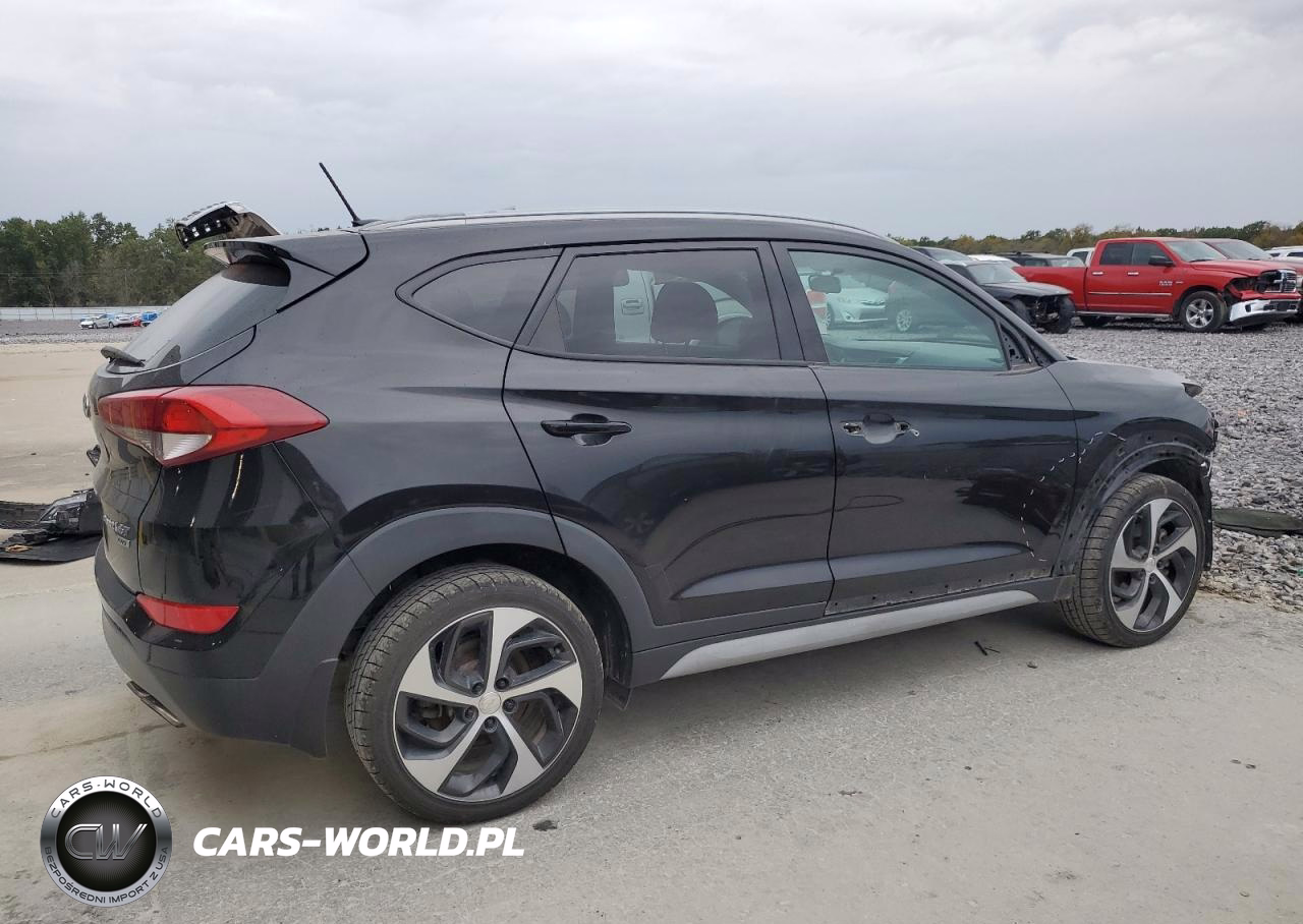 2017 Hyundai Tucson Limited VIN:KM8J3CA2XHU401732 - 3