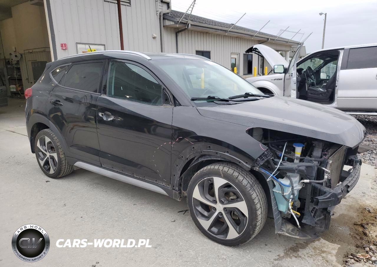 2017 Hyundai Tucson Limited VIN:KM8J3CA2XHU401732 - 4