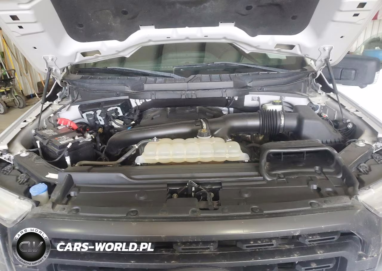 2021 Ford F150 Supercrew VIN:1FTFW1E85MKE62738 - 11