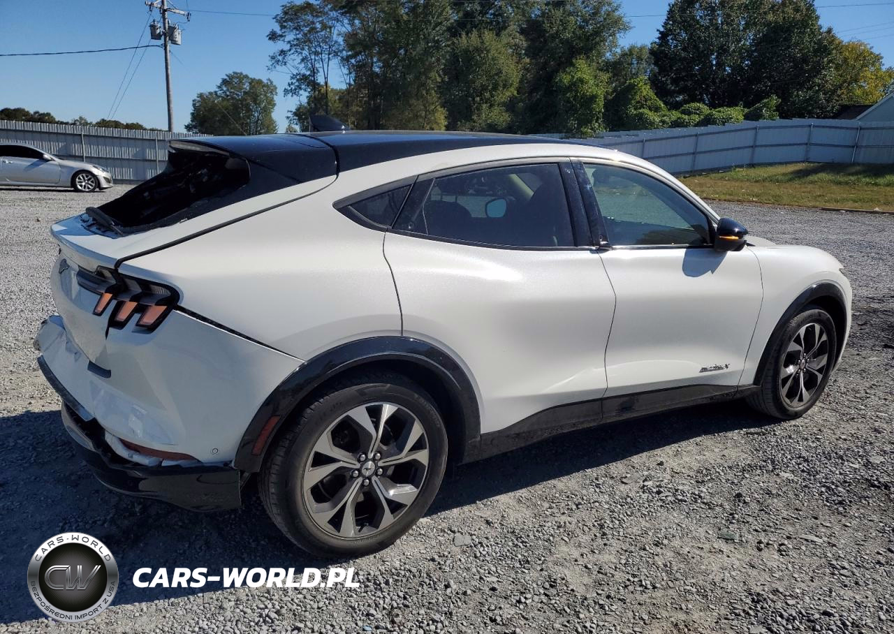 2021 Ford Mustang Mach-E Premium VIN:3FMTK3SU3MMA04583 - 3