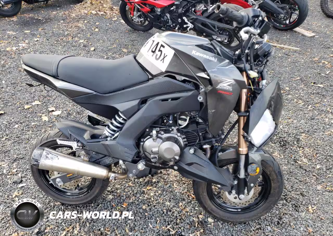 2018 Kawasaki Br125 J