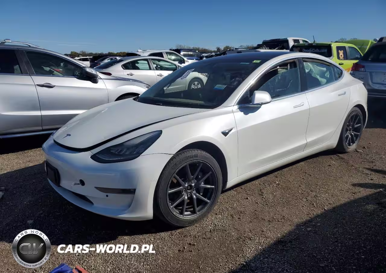 2019 Tesla Model 3