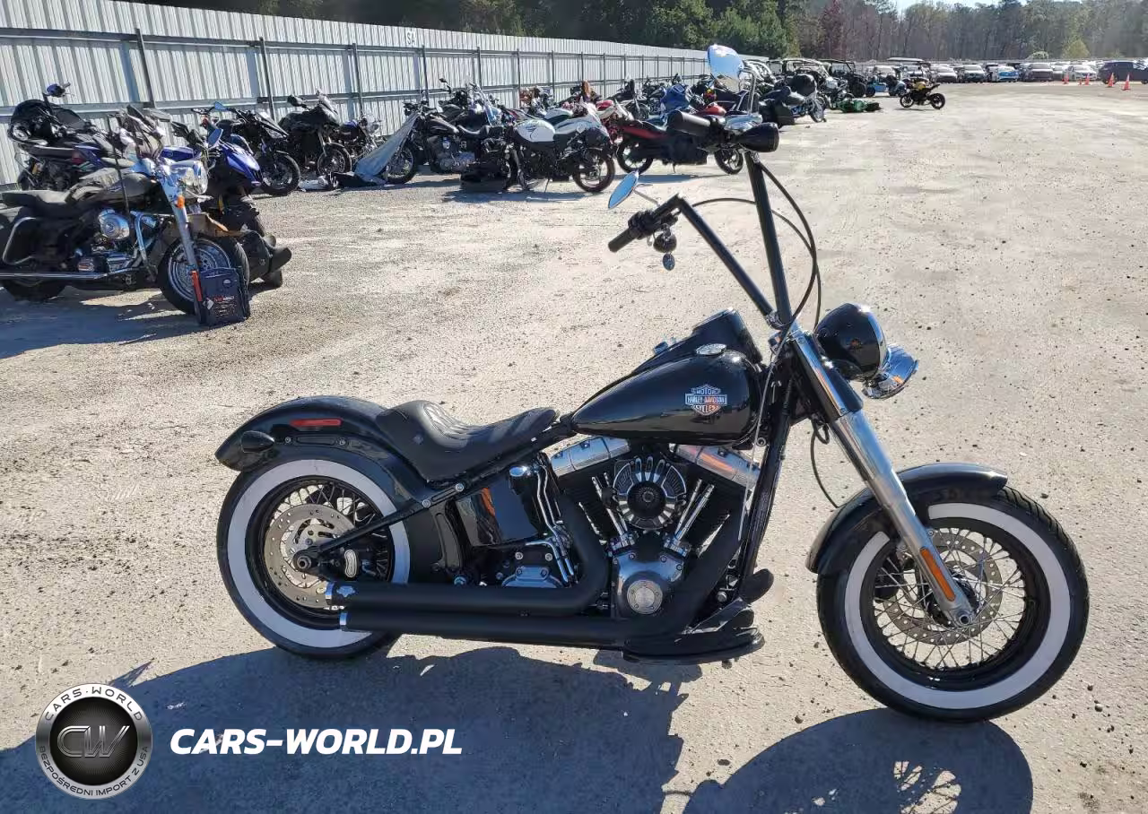 2017 Harley-Davidson Fls Softail Slim