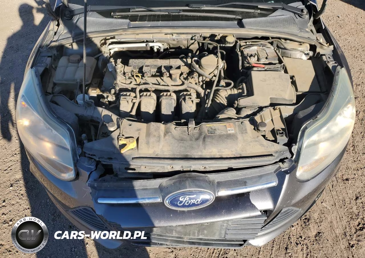 2014 Ford Focus Se VIN:1FADP3F25EL249087 - 11