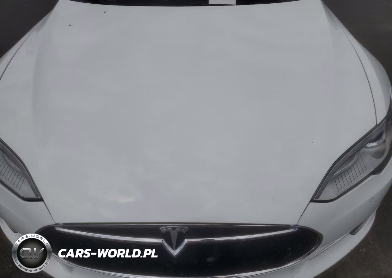 2014 Tesla Model S VIN:5YJSA1H18EFP50408 - 11