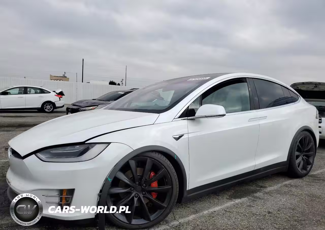 2019 Tesla Model X