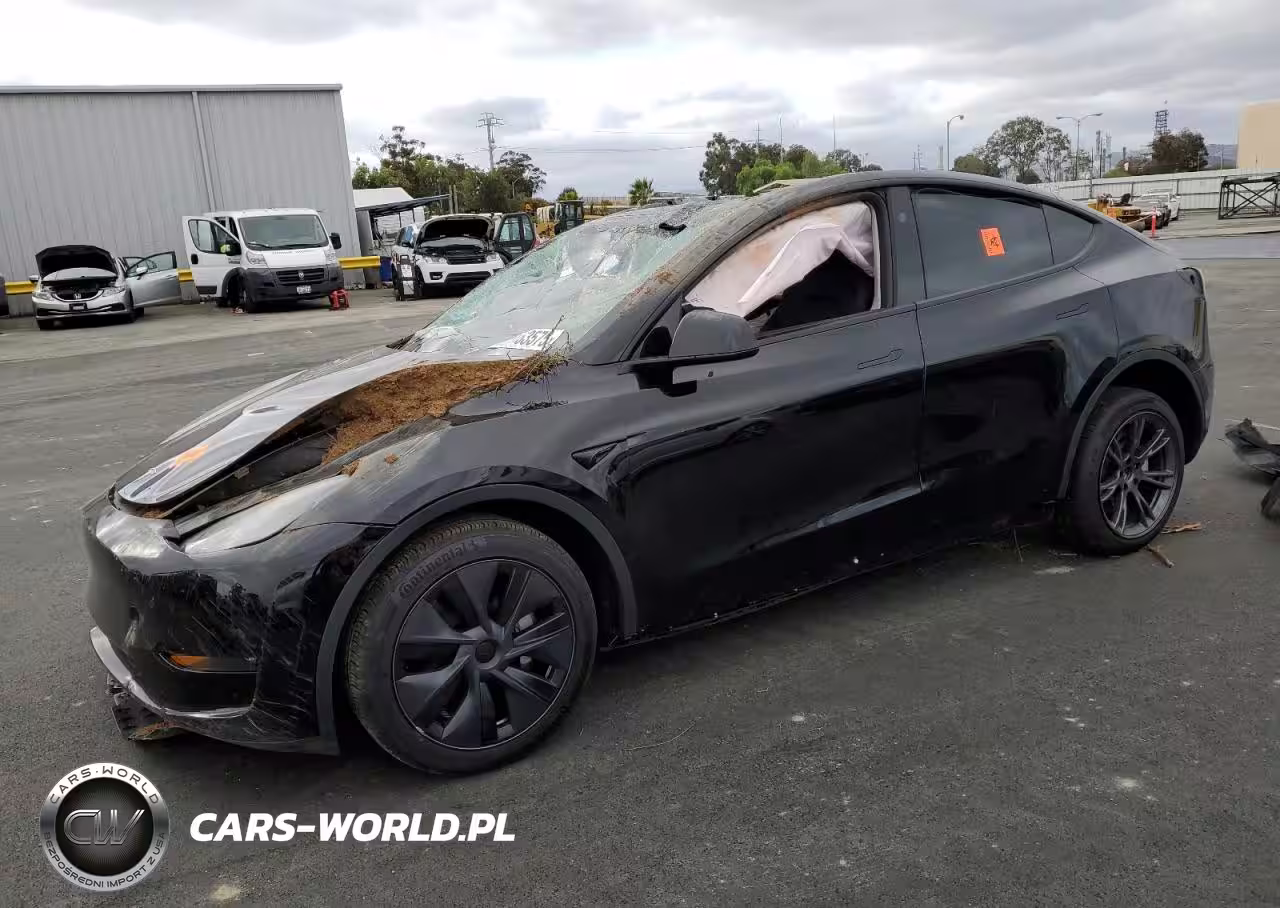 2024 Tesla Model Y