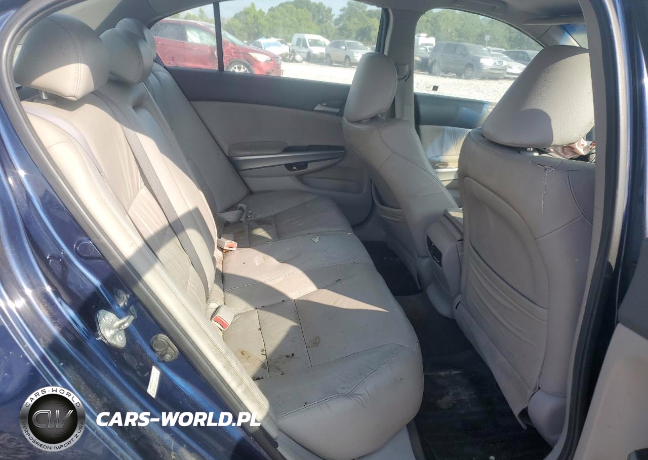 2010 Honda Accord Exl VIN:1HGCP2F84AA153043 - 10