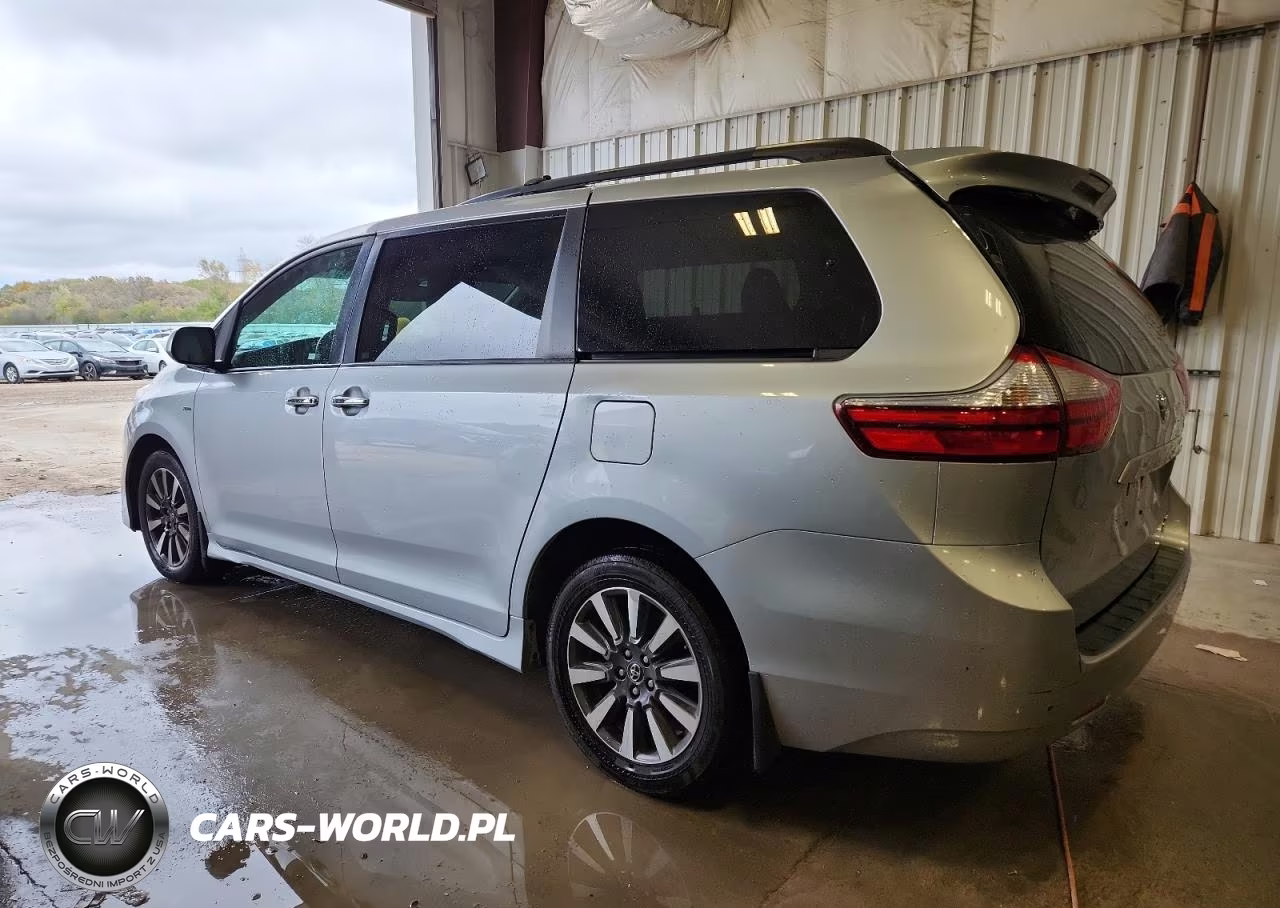 2019 Toyota Sienna Xle VIN:5TDDZ3DC5KS217332 - 2