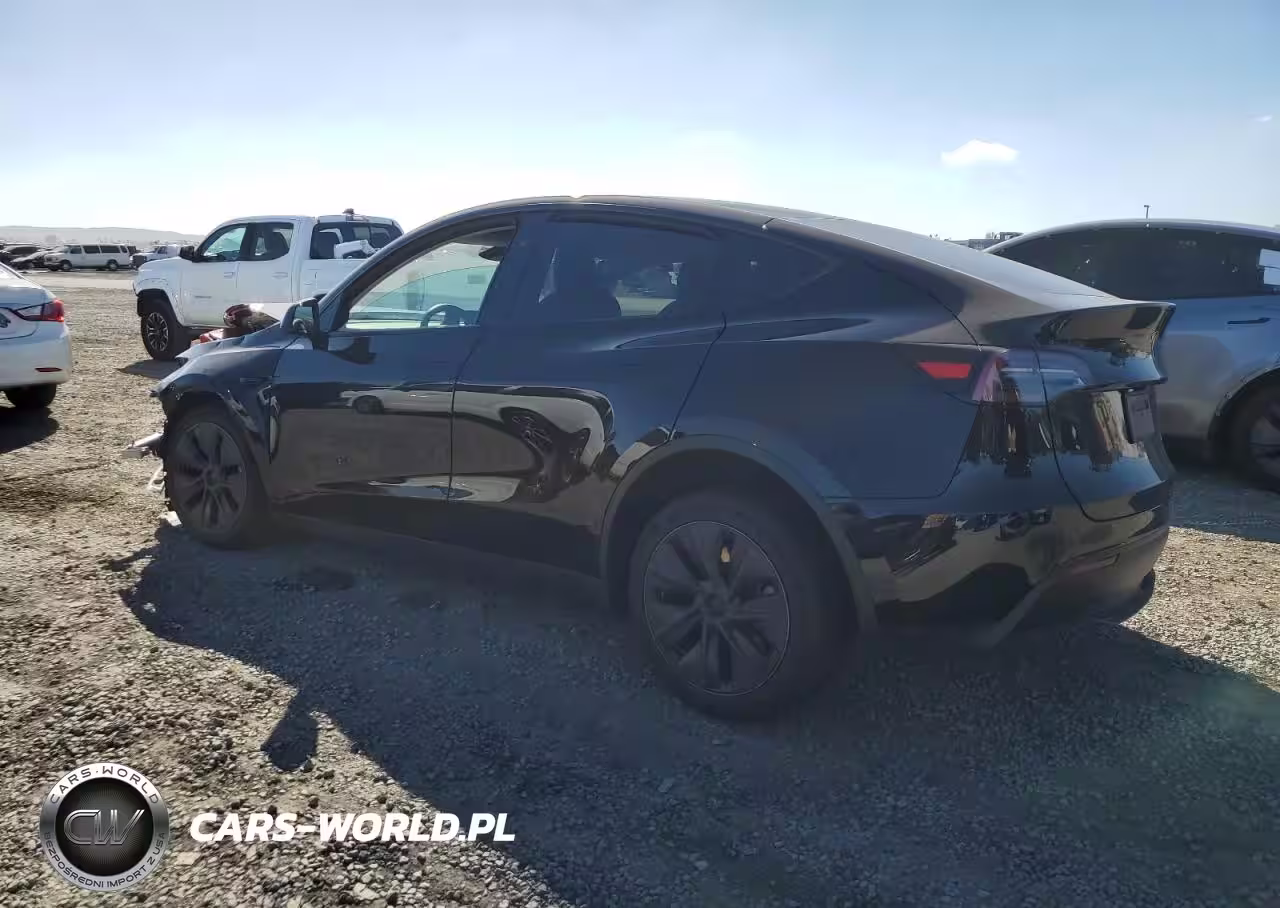 2024 Tesla Model Y VIN:7SAYGAEE4RF211941 - 2