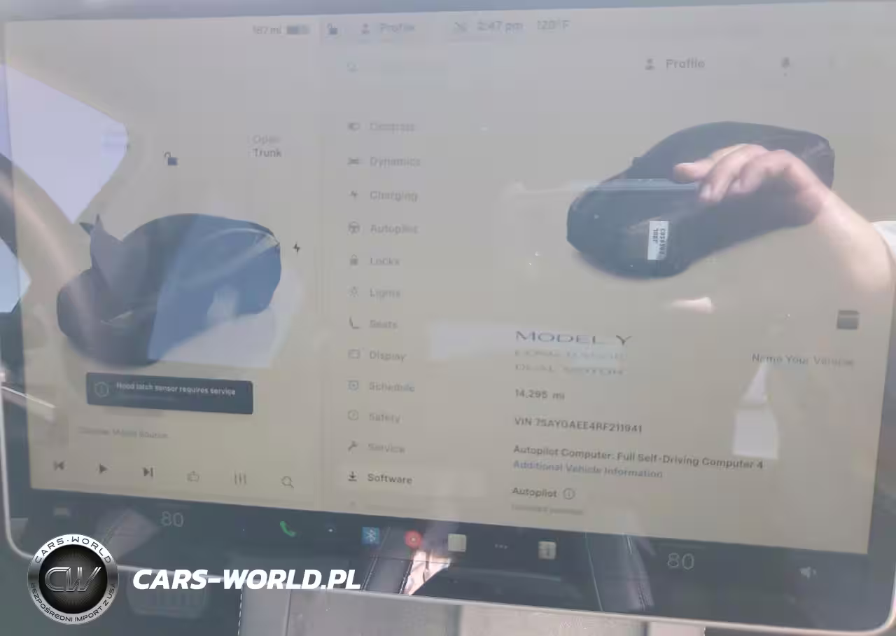 2024 Tesla Model Y VIN:7SAYGAEE4RF211941 - 9