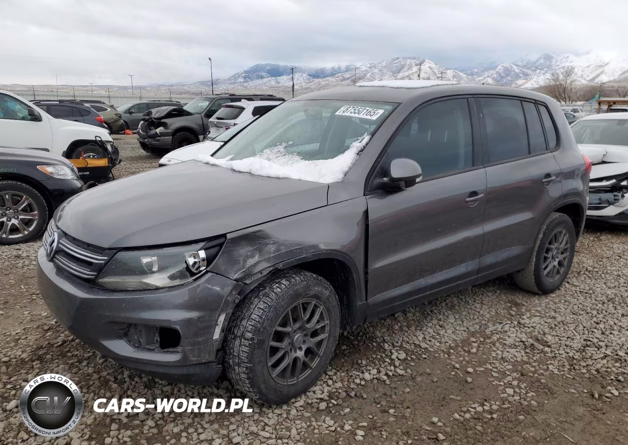 2013 Volkswagen Tiguan S