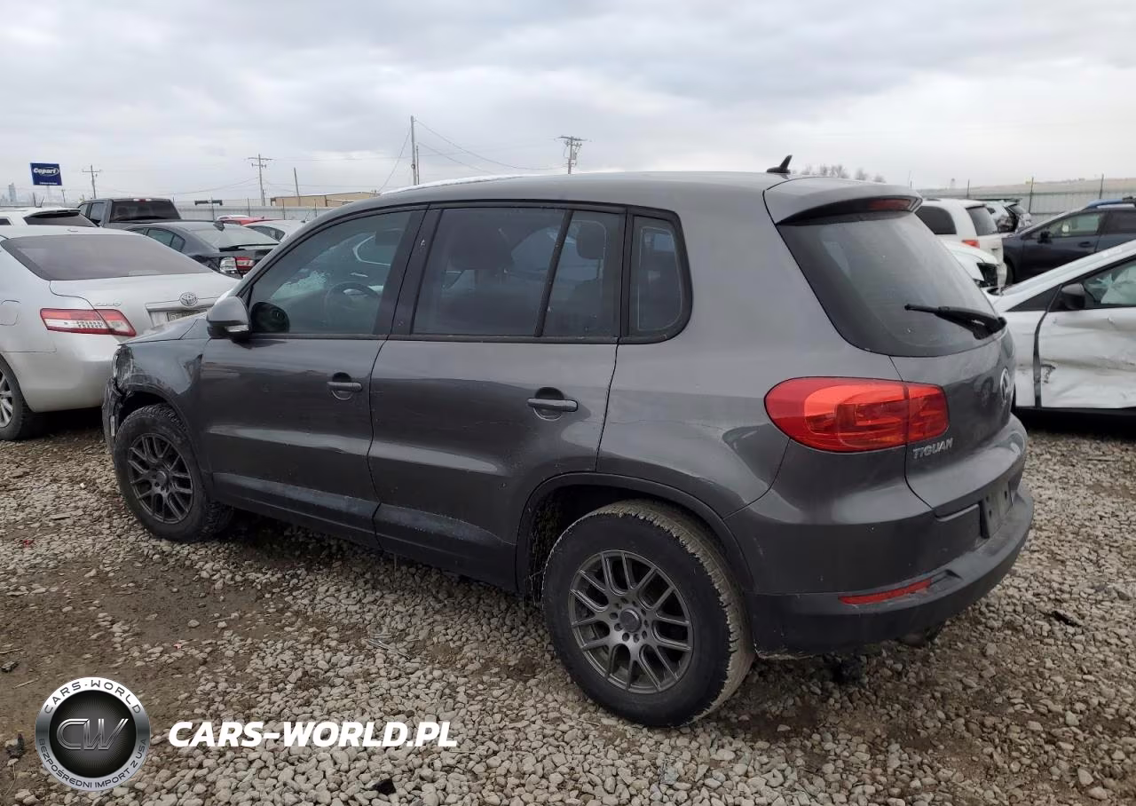 2013 Volkswagen Tiguan S VIN:WVGAV7AXXDW020782 - 2