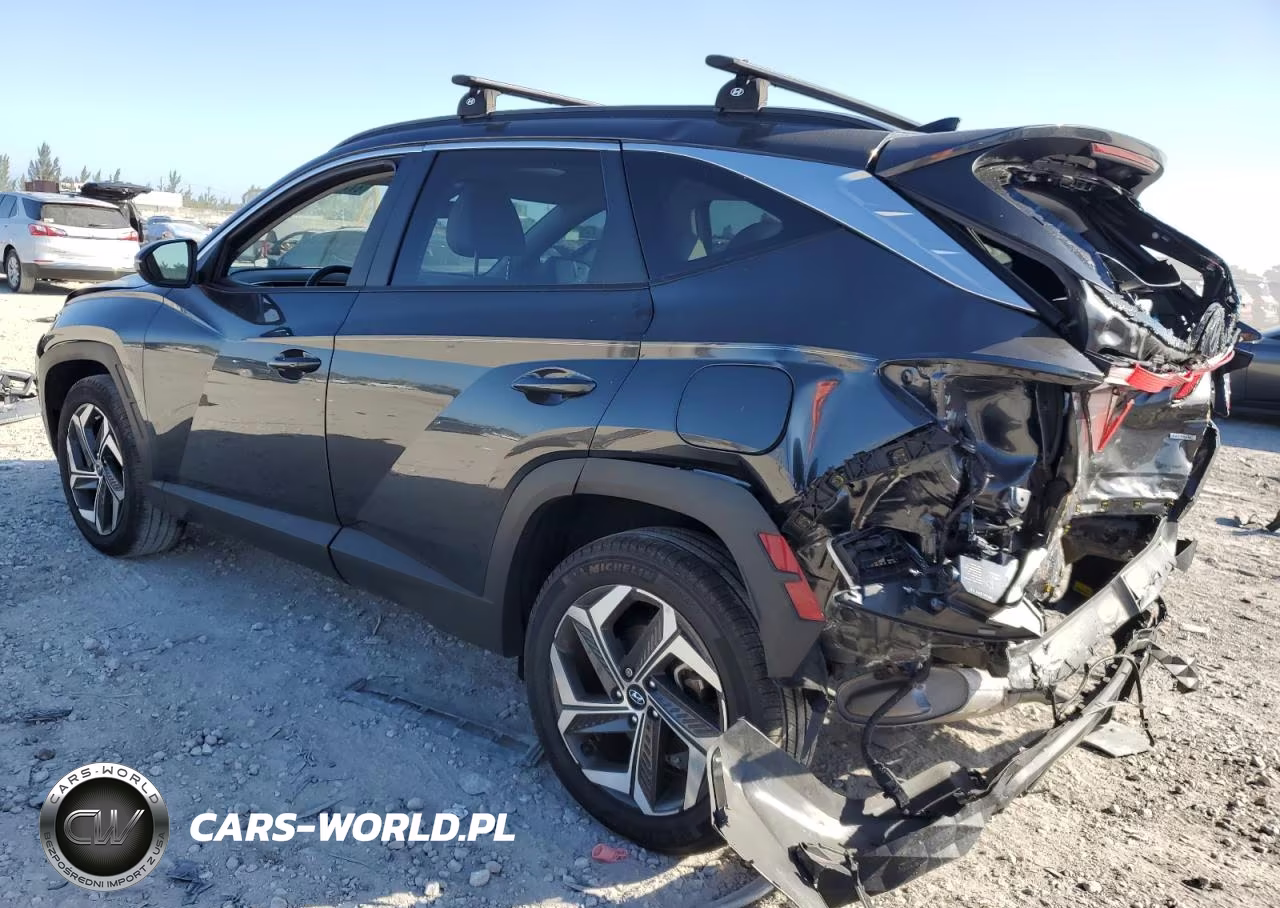 2023 Hyundai Tucson Sel VIN:5NMJFCAE9PH206989 - 2
