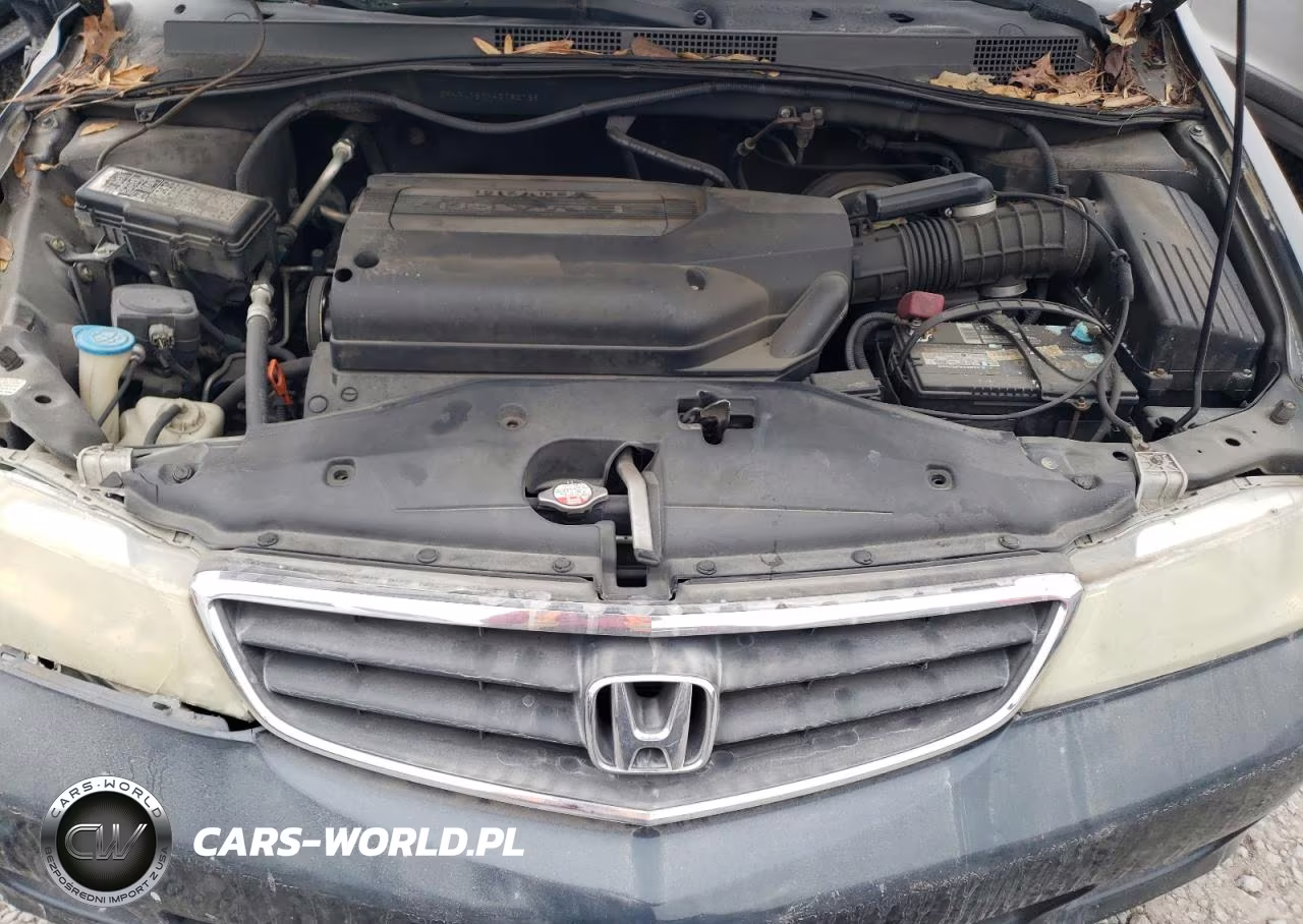 2004 Honda Odyssey Exl VIN:5FNRL189X4B082785 - 12