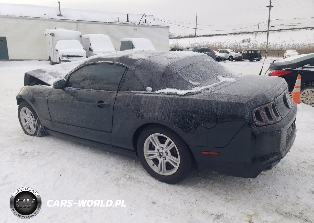 2014 Ford Mustang VIN:1ZVBP8EM9E5304949 - 2