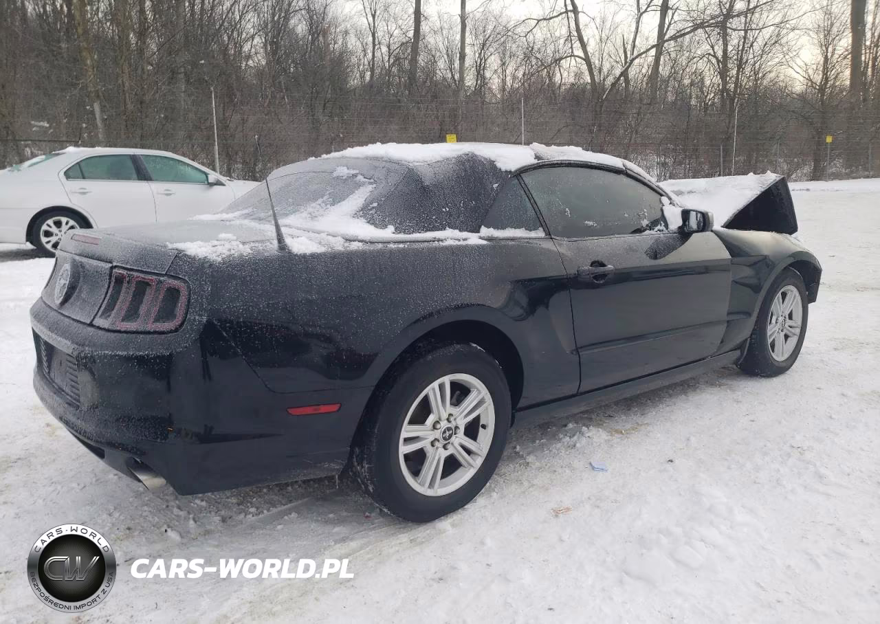 2014 Ford Mustang VIN:1ZVBP8EM9E5304949 - 3