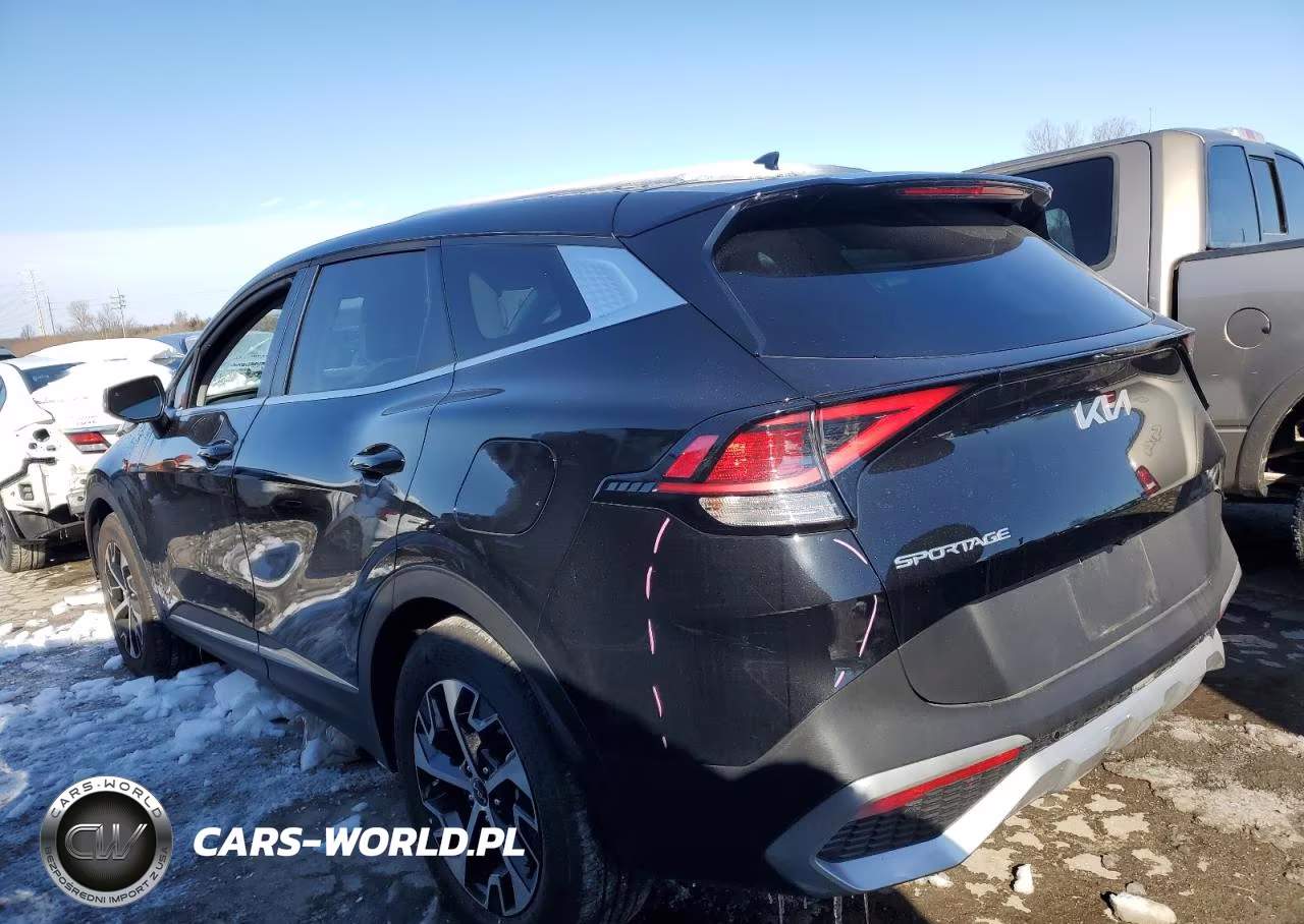 2024 Kia Sportage Ex VIN:5XYK33DFXRG203226 - 2