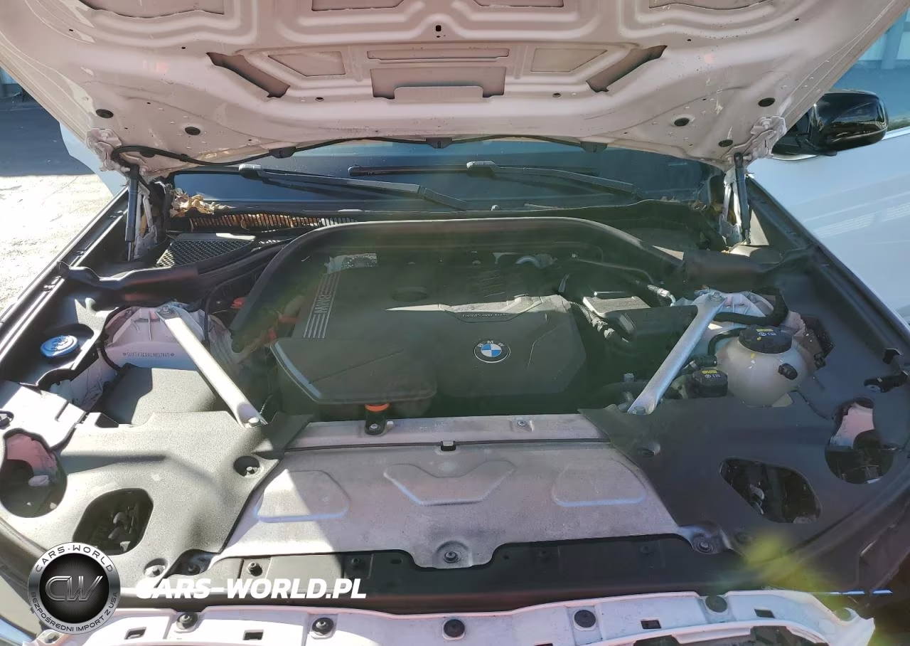 2020 BMW X3 Sdrive30I VIN:5UXTY3C0XL9B53845 - 12