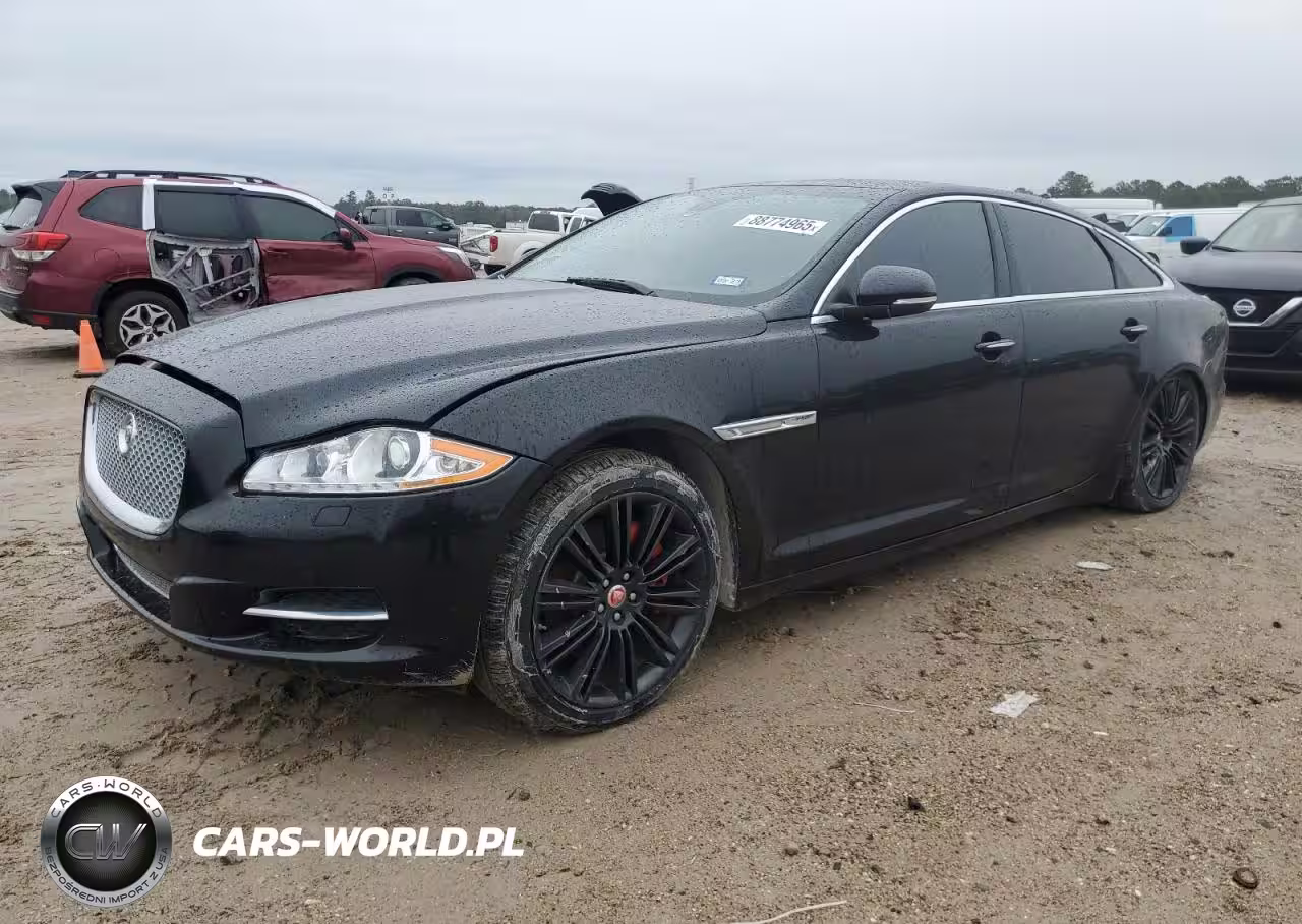 JAGUAR