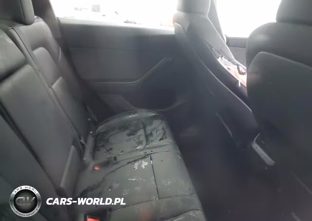 2025 Tesla Model Y VIN:7SAYGDEE7SA360073 - 10