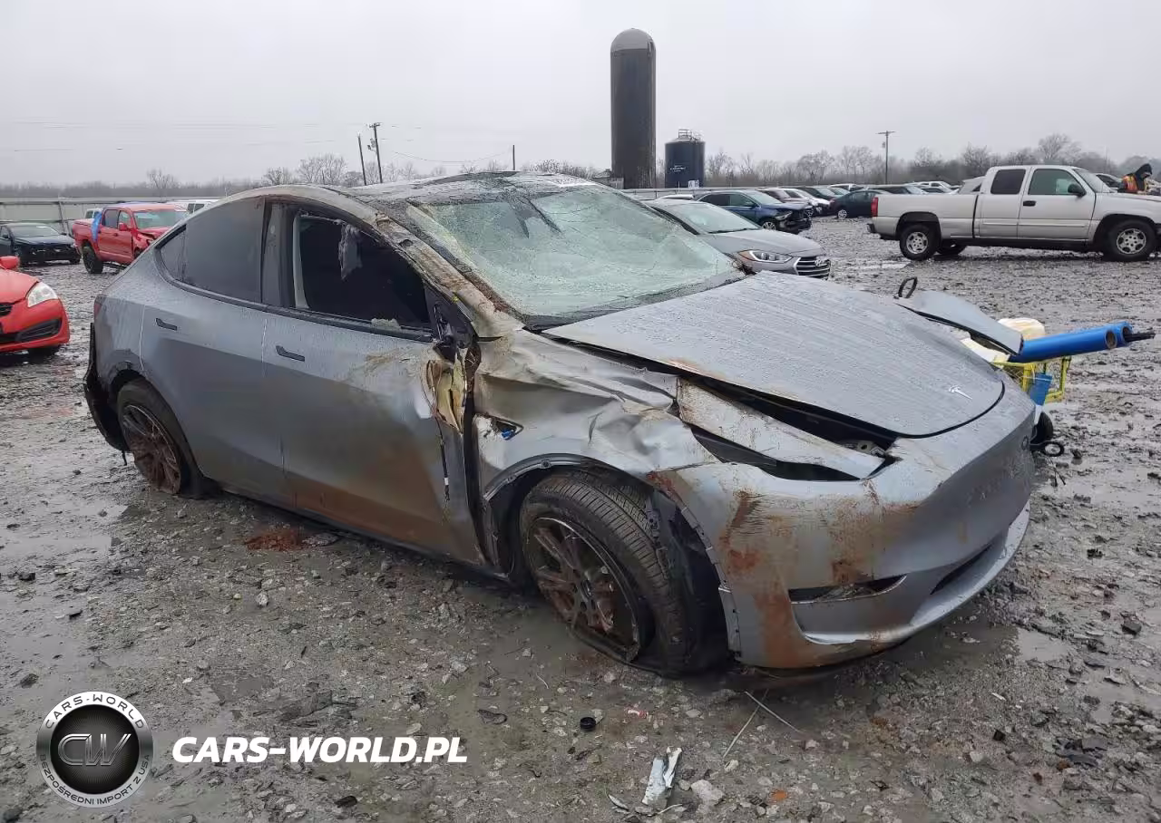 2025 Tesla Model Y VIN:7SAYGDEE7SA360073 - 4