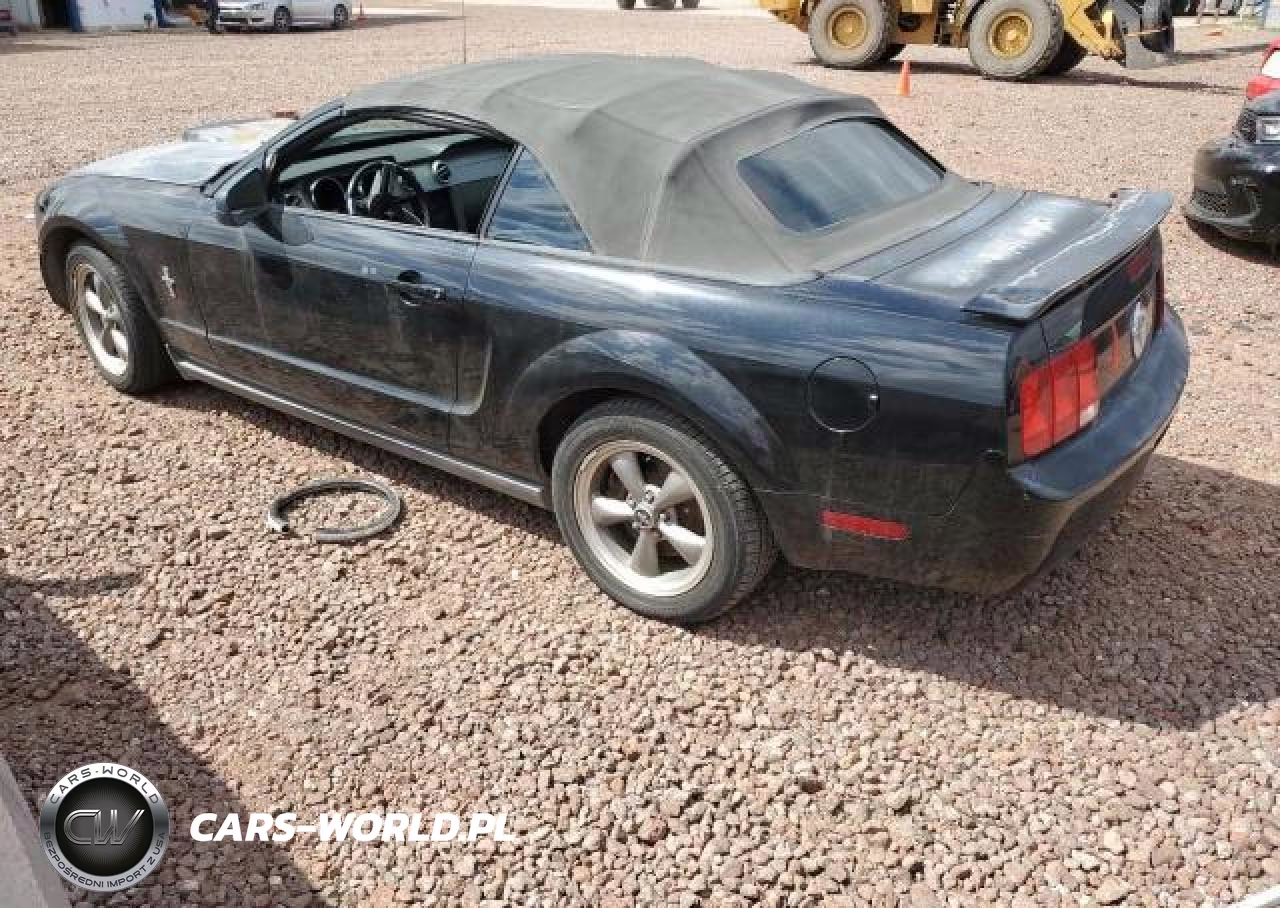 2006 Ford Mustang VIN:1ZVFT84N065125479 - 2