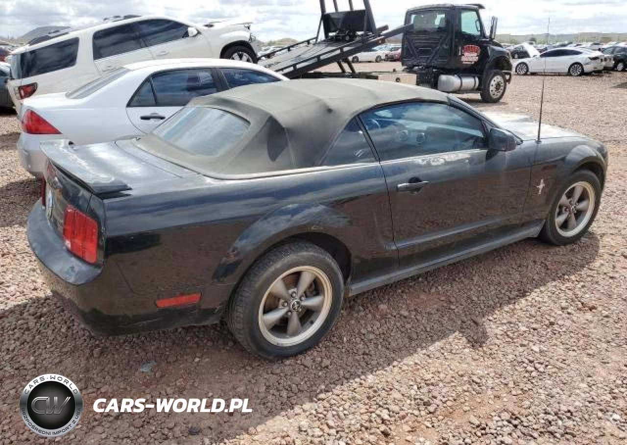 2006 Ford Mustang VIN:1ZVFT84N065125479 - 3