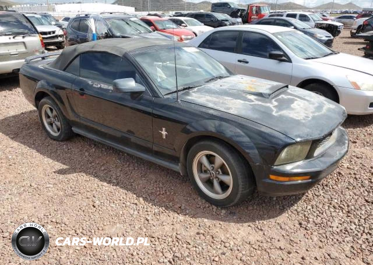 2006 Ford Mustang VIN:1ZVFT84N065125479 - 4
