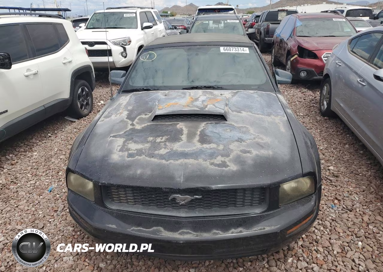 2006 Ford Mustang VIN:1ZVFT84N065125479 - 5
