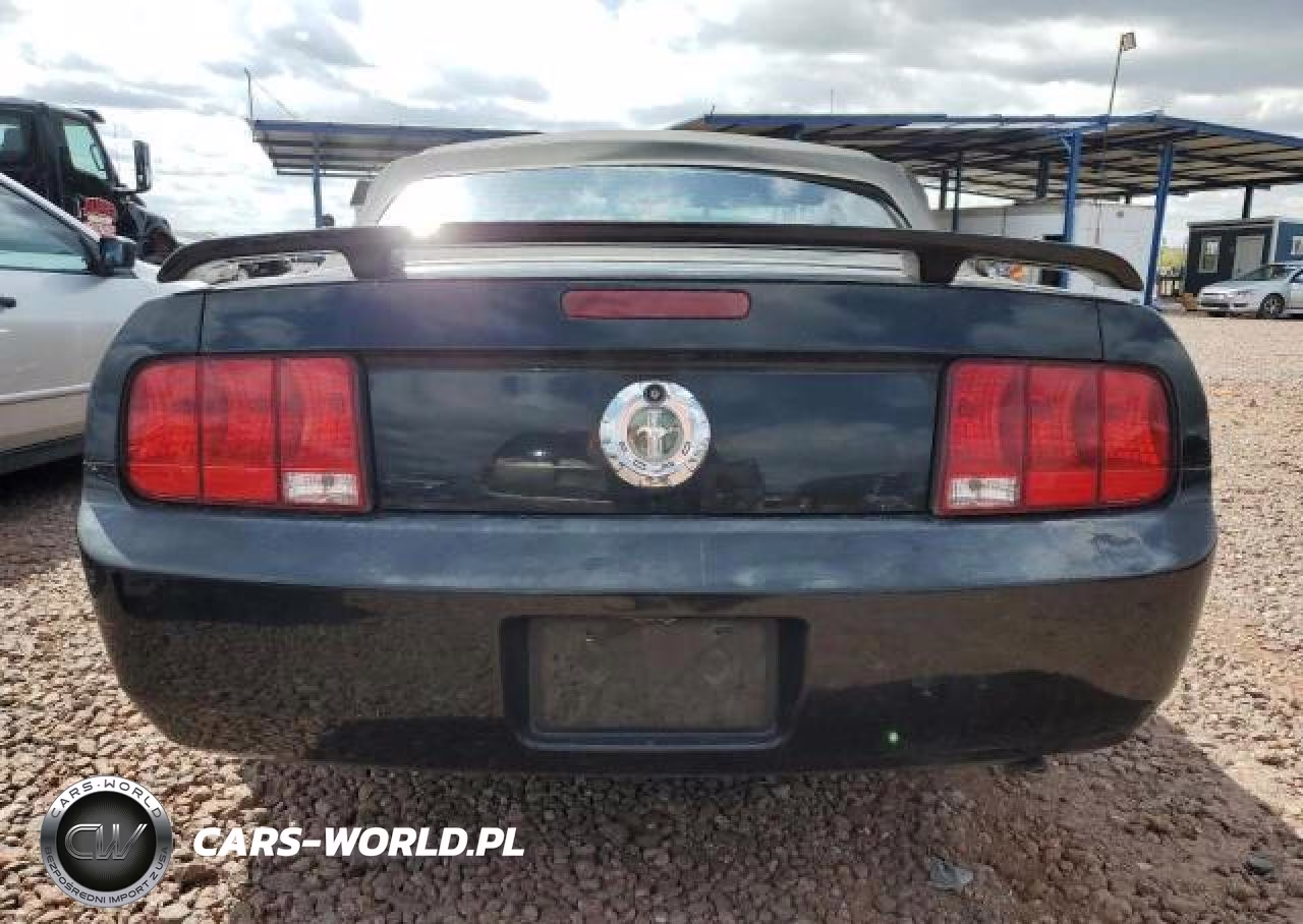 2006 Ford Mustang VIN:1ZVFT84N065125479 - 6