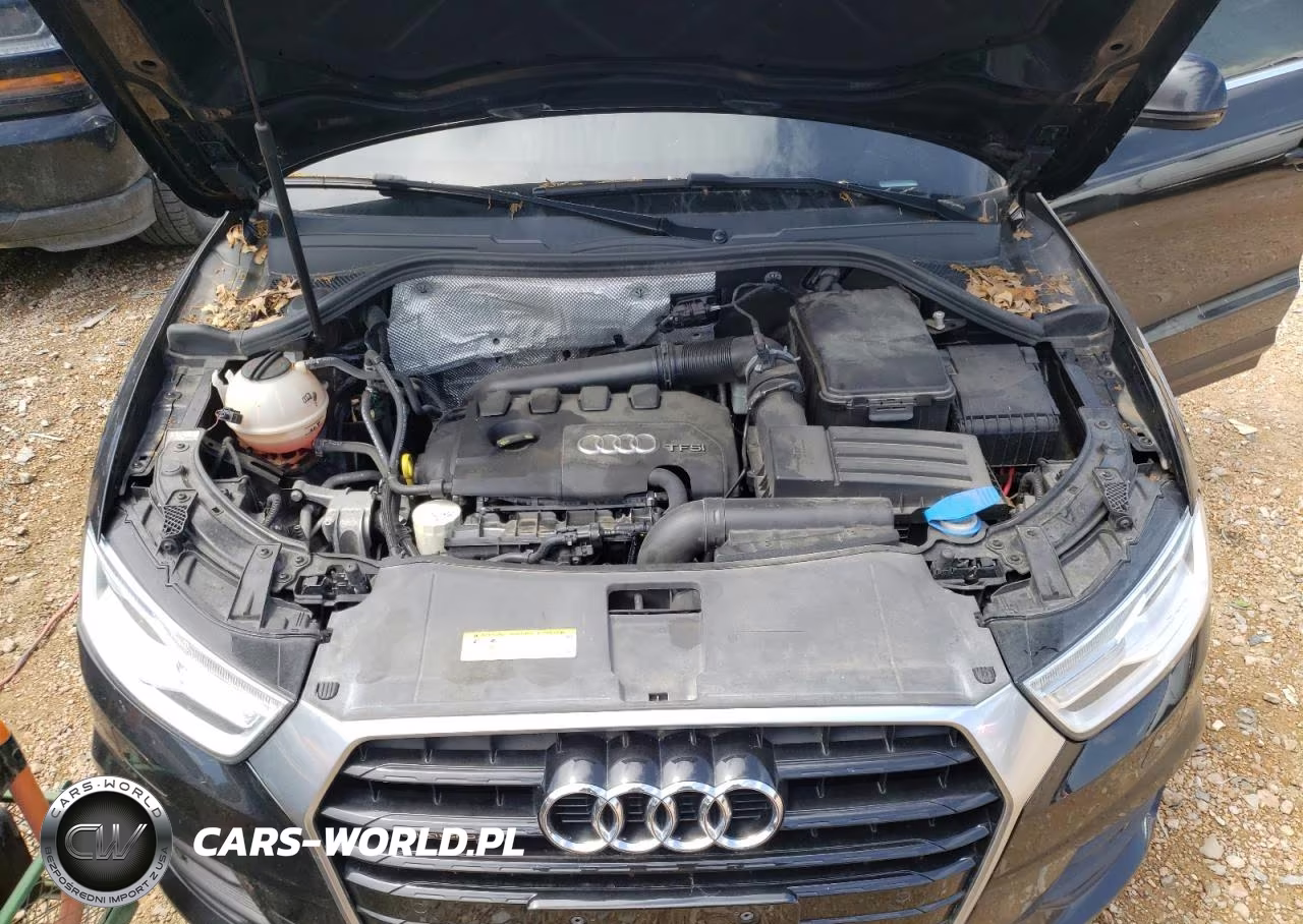 2017 Audi Q3 Premium Plus VIN:WA1JCCFS5HR002477 - 7