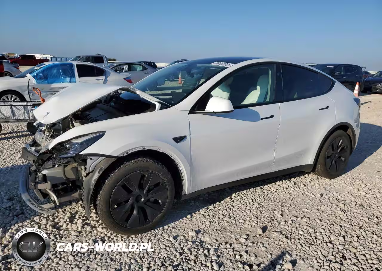 2025 Tesla Model Y