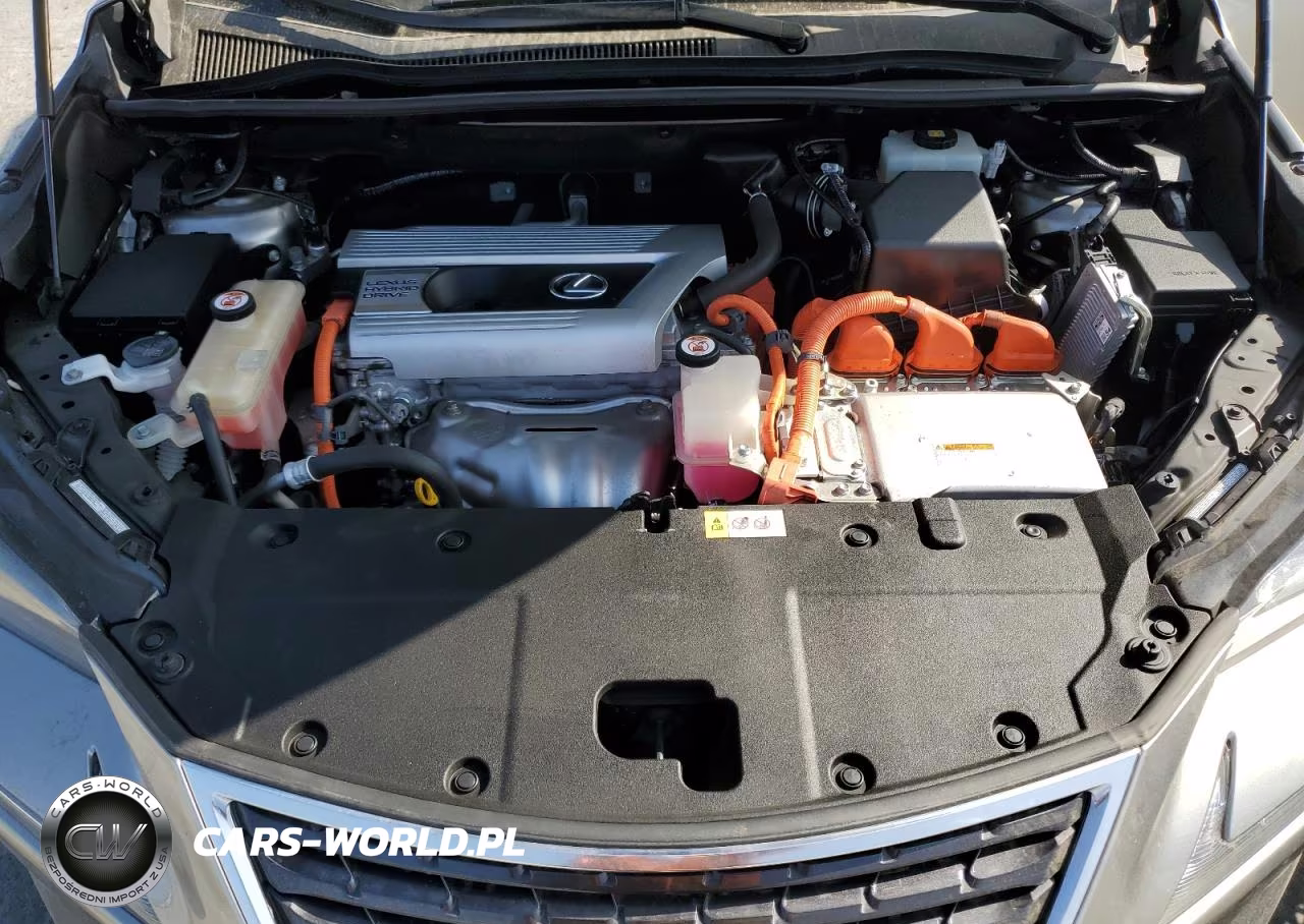 2018 Lexus Nx 300H VIN:JTJBJRBZ9J2095232 - 12